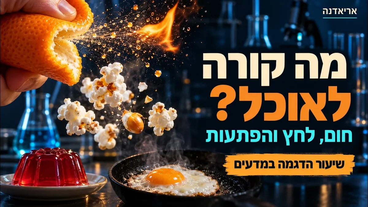 שיעור הדגמה: מה קורה לאוכל כשמחממים אותו